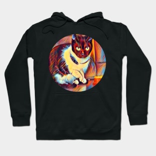 Four-Legged mycat, revolution for cats Hoodie